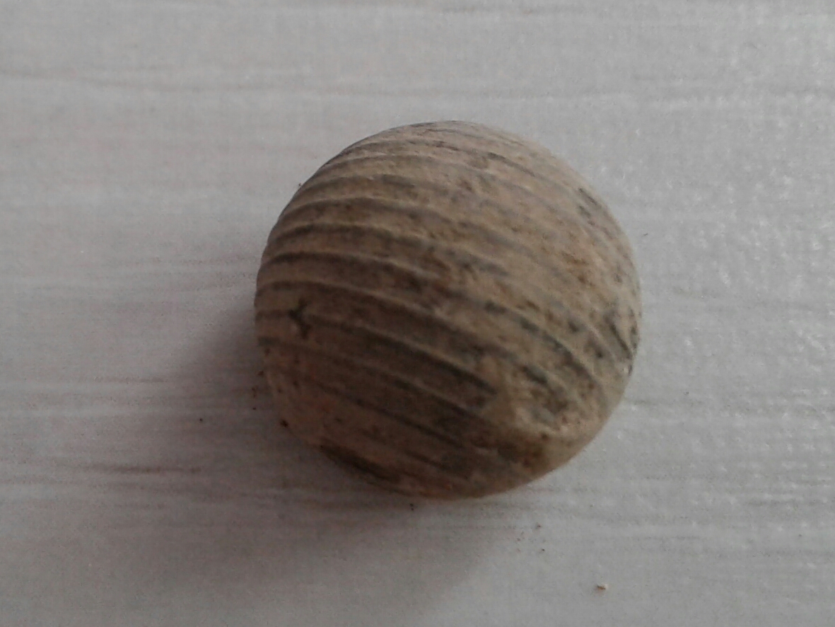 bouton branlant face.jpg