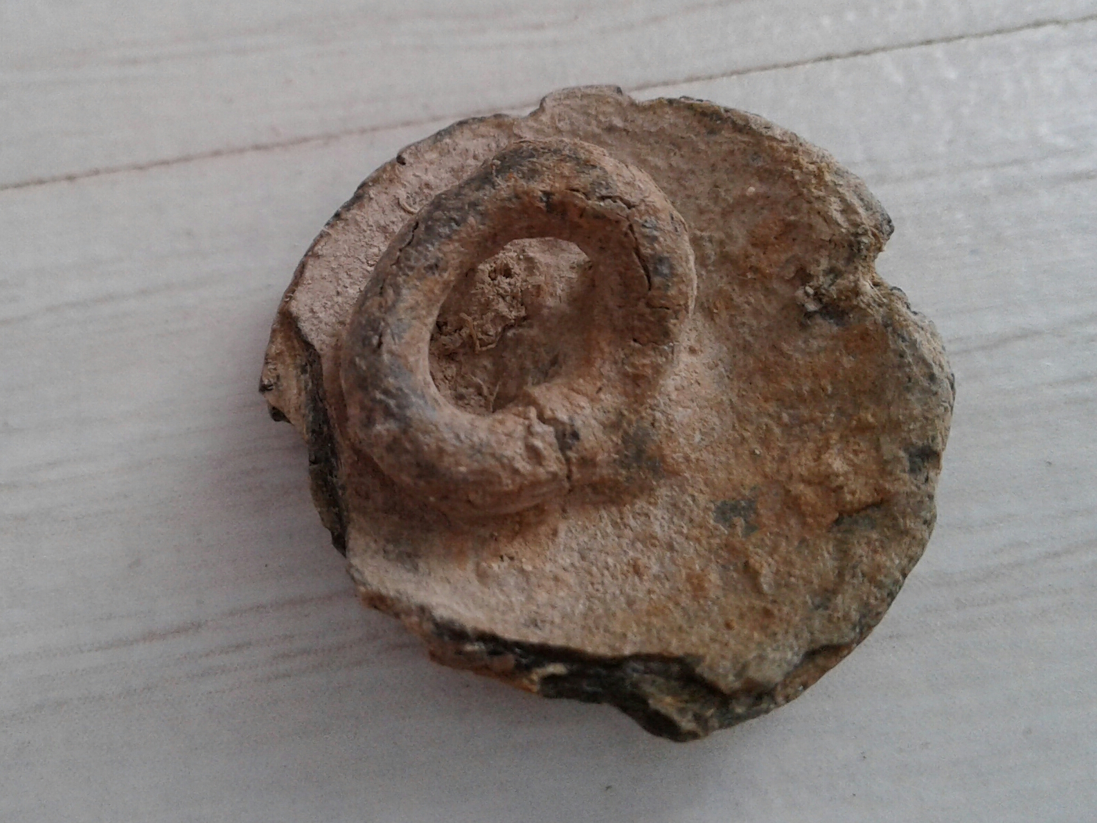 bouton coquillage plomb étain revers.jpg
