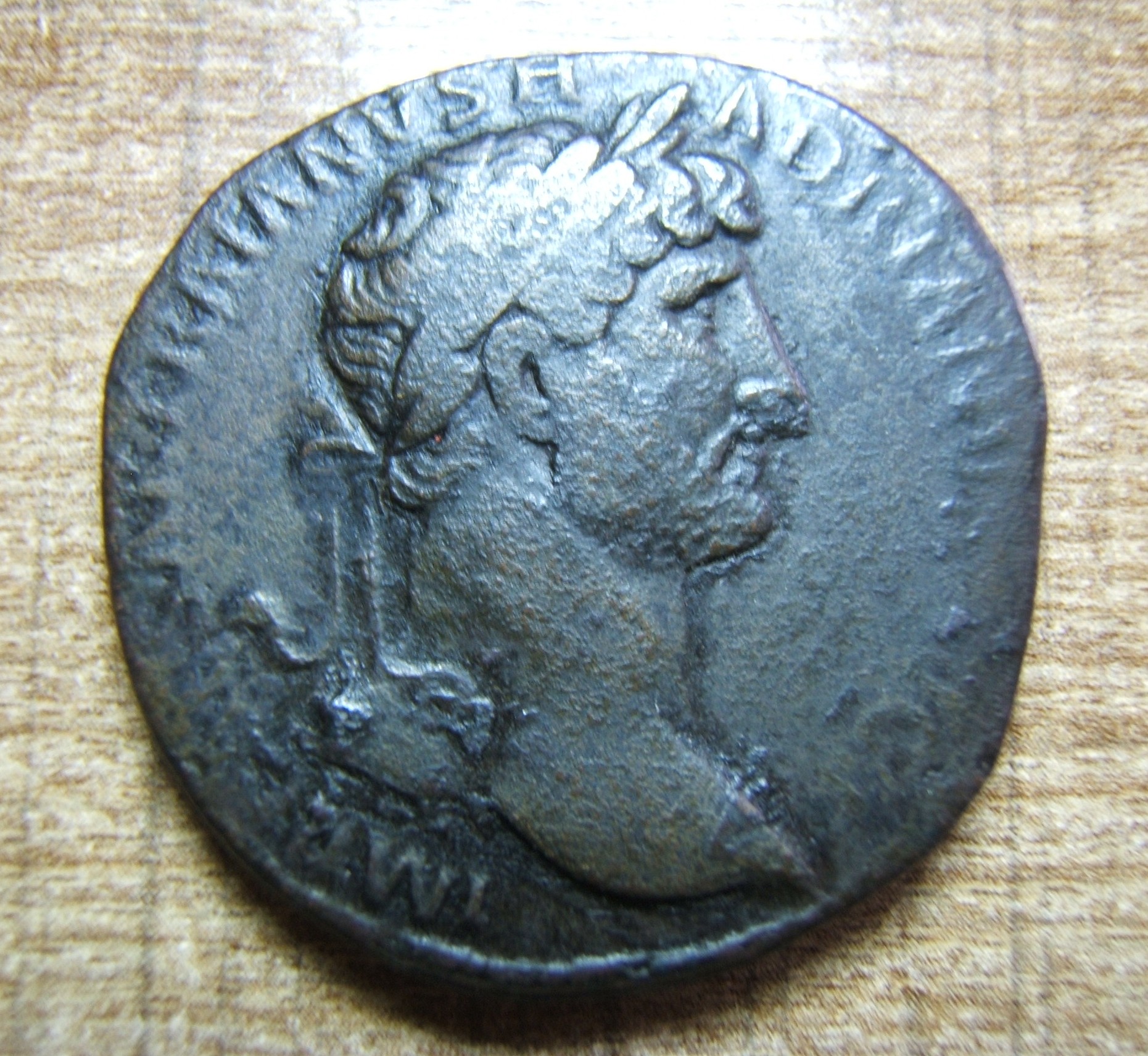 DSCF2907.JPG