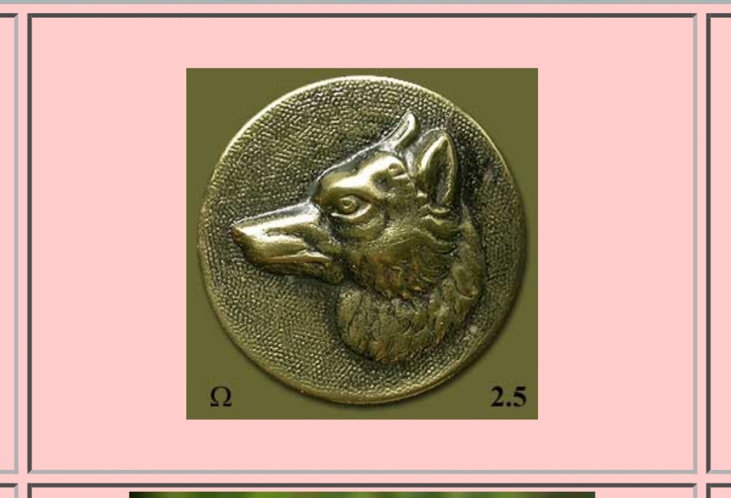Screenshot_20200508-121351_Firefox.jpg