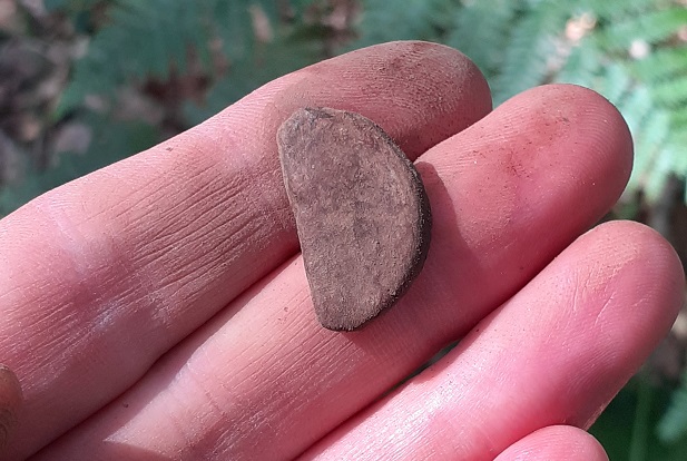 20200611_100739.jpg