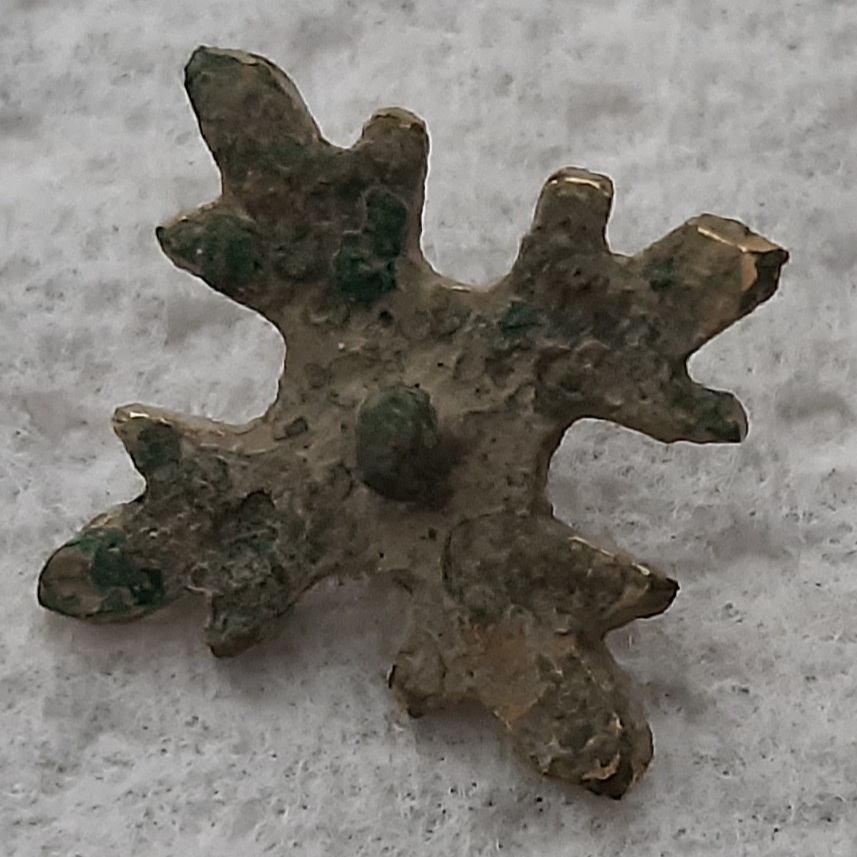 20200917_161246.jpg
