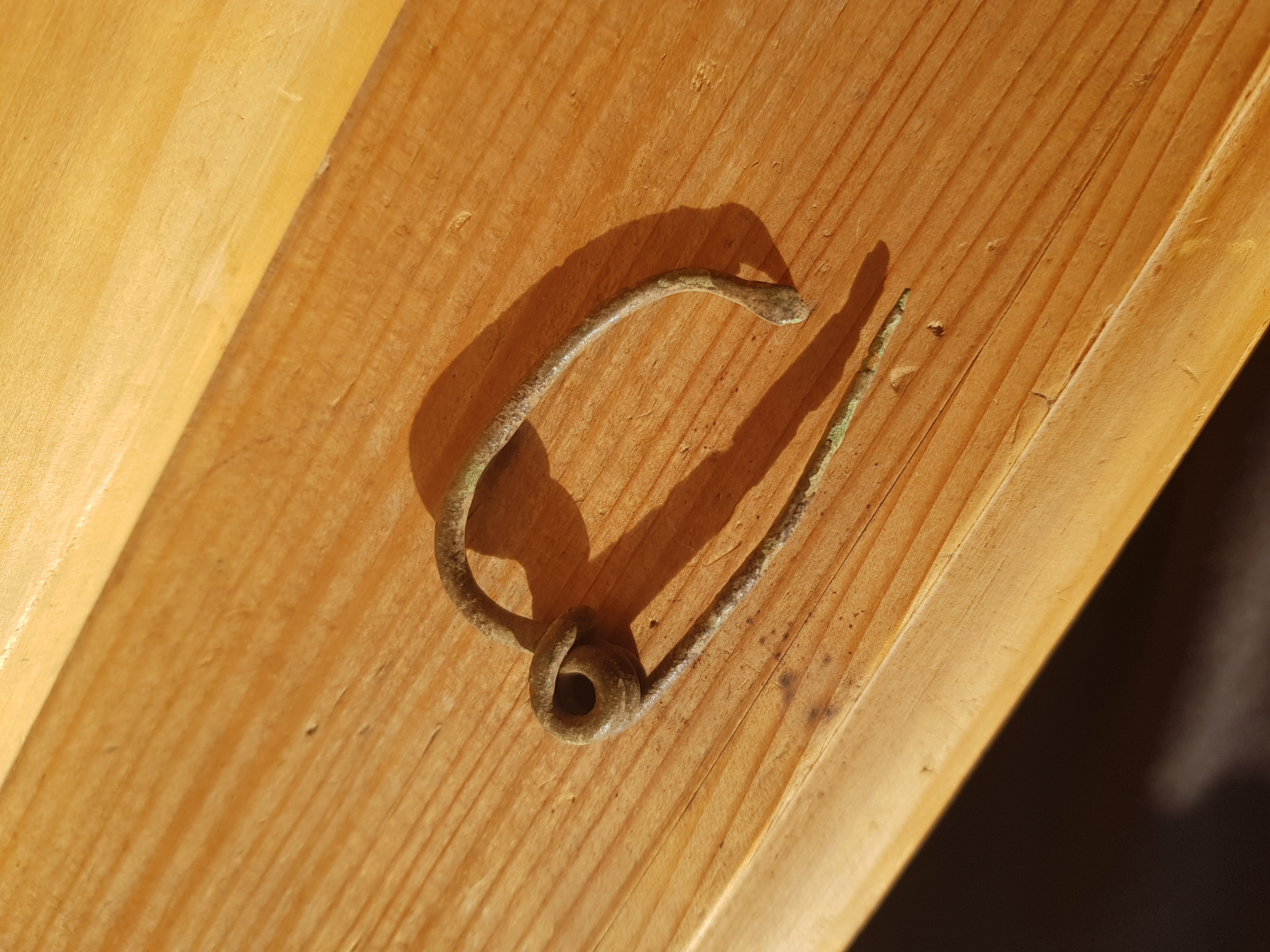 20201016_162148.jpg