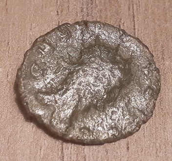 20201024_203020.jpg