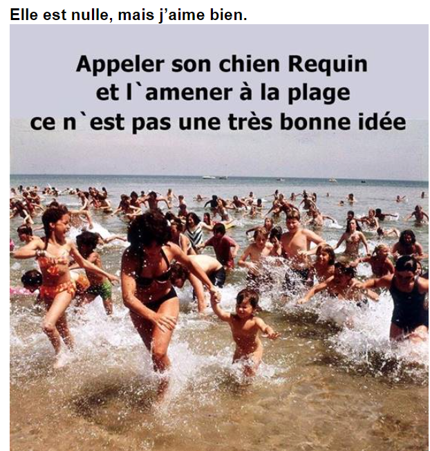 REQUIN.PNG