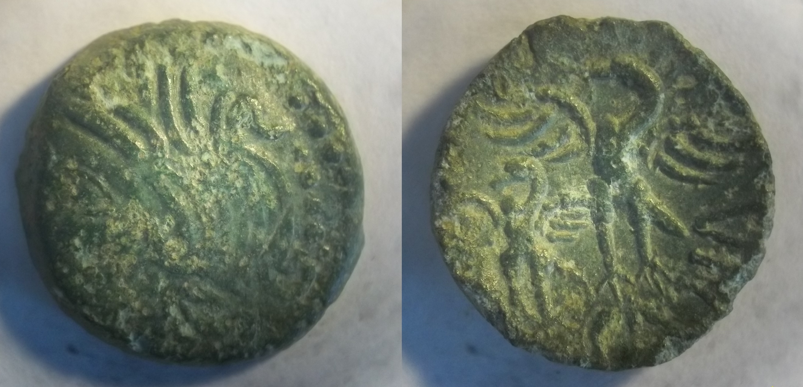 Bituriges cubes Bronze CALIAGIID à l’aiglon.jpg