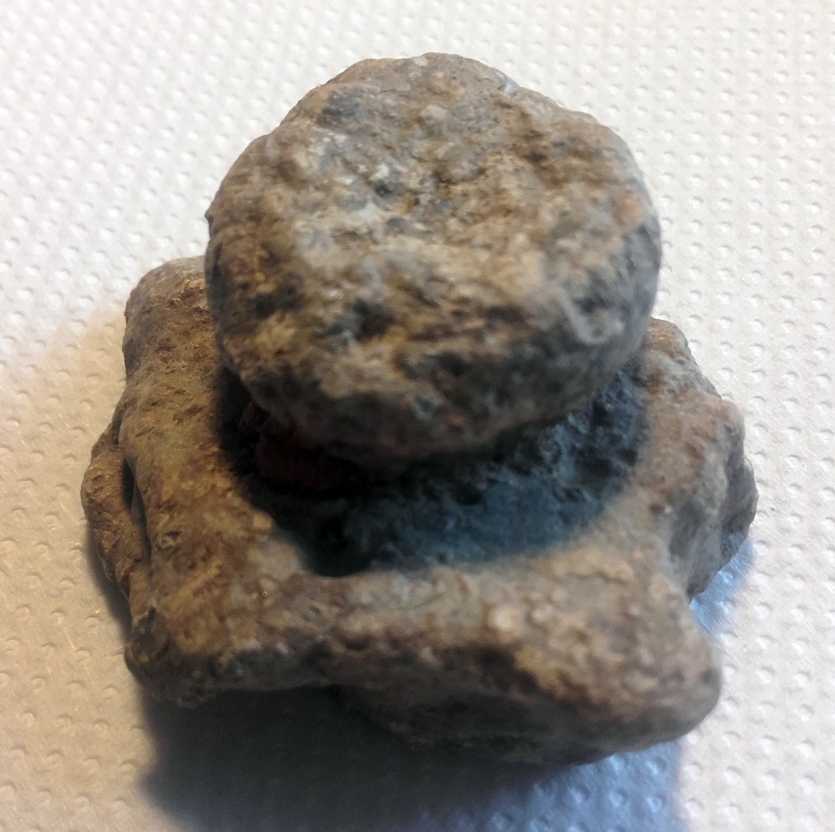 20200808_191903.jpg