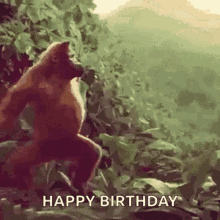monkey-ape.gif