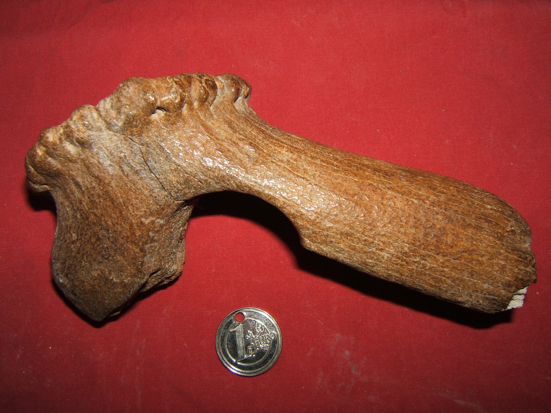 DSCF2462.JPG