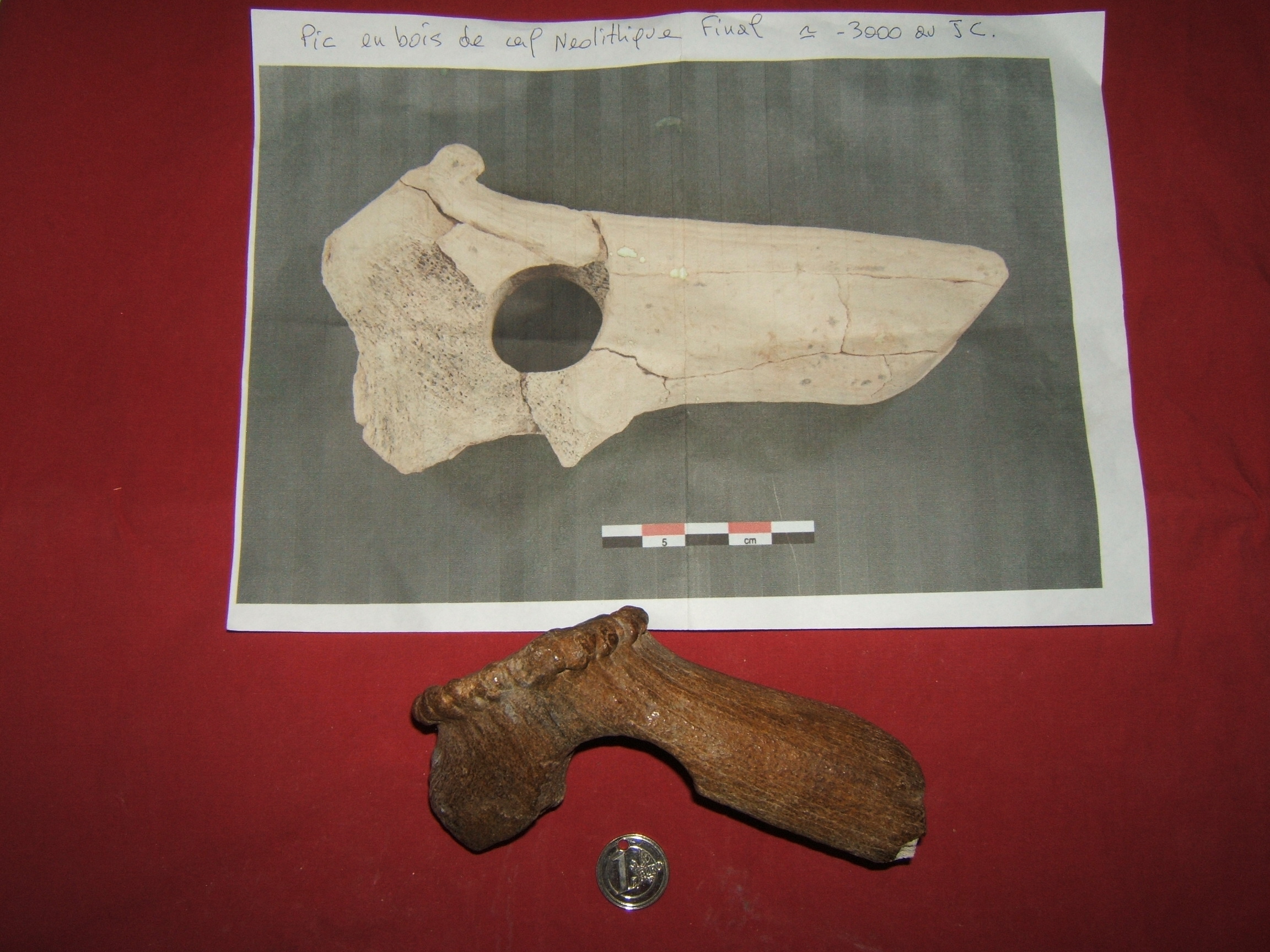 DSCF2461.JPG