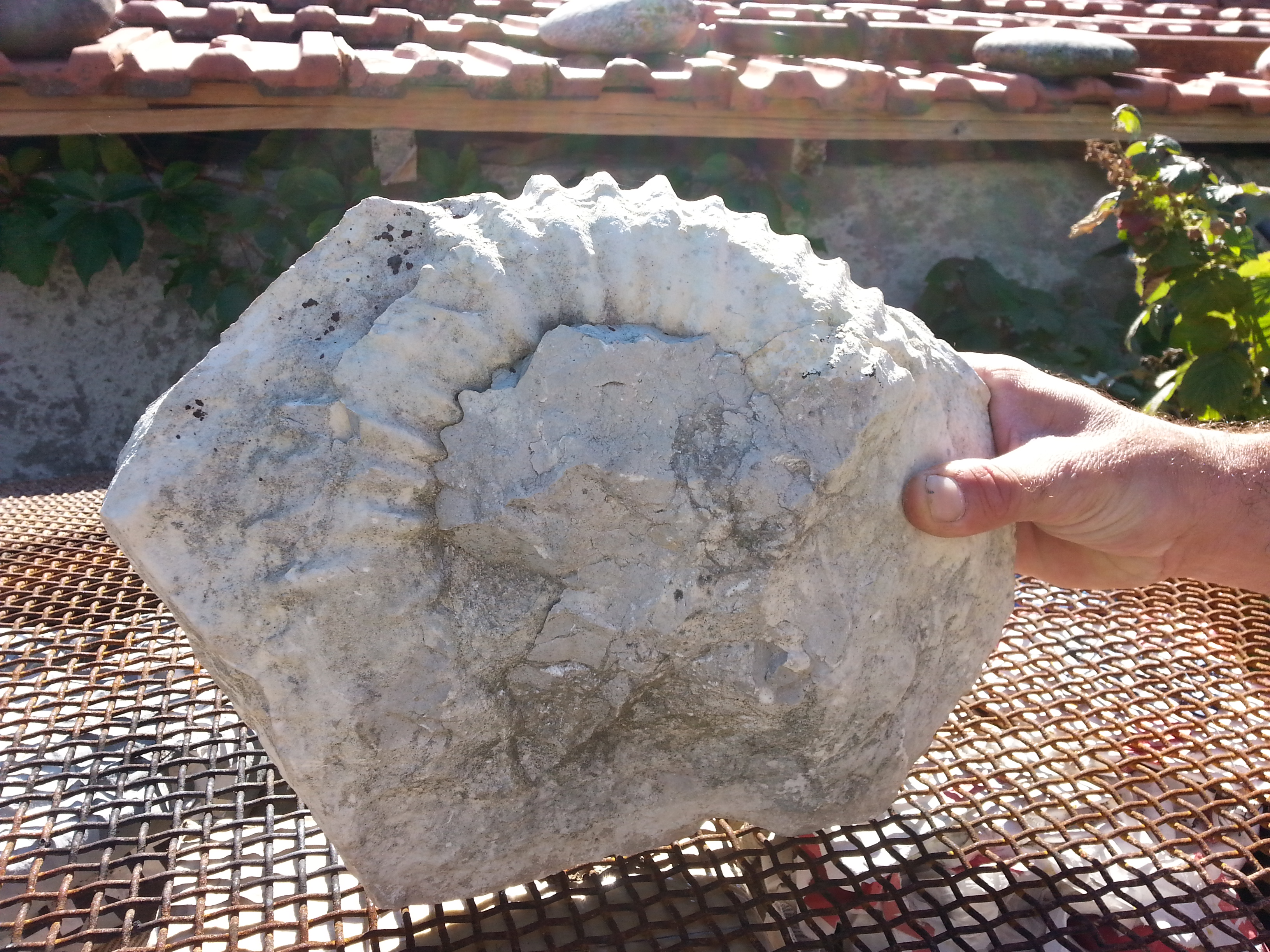 20140913_152904.jpg