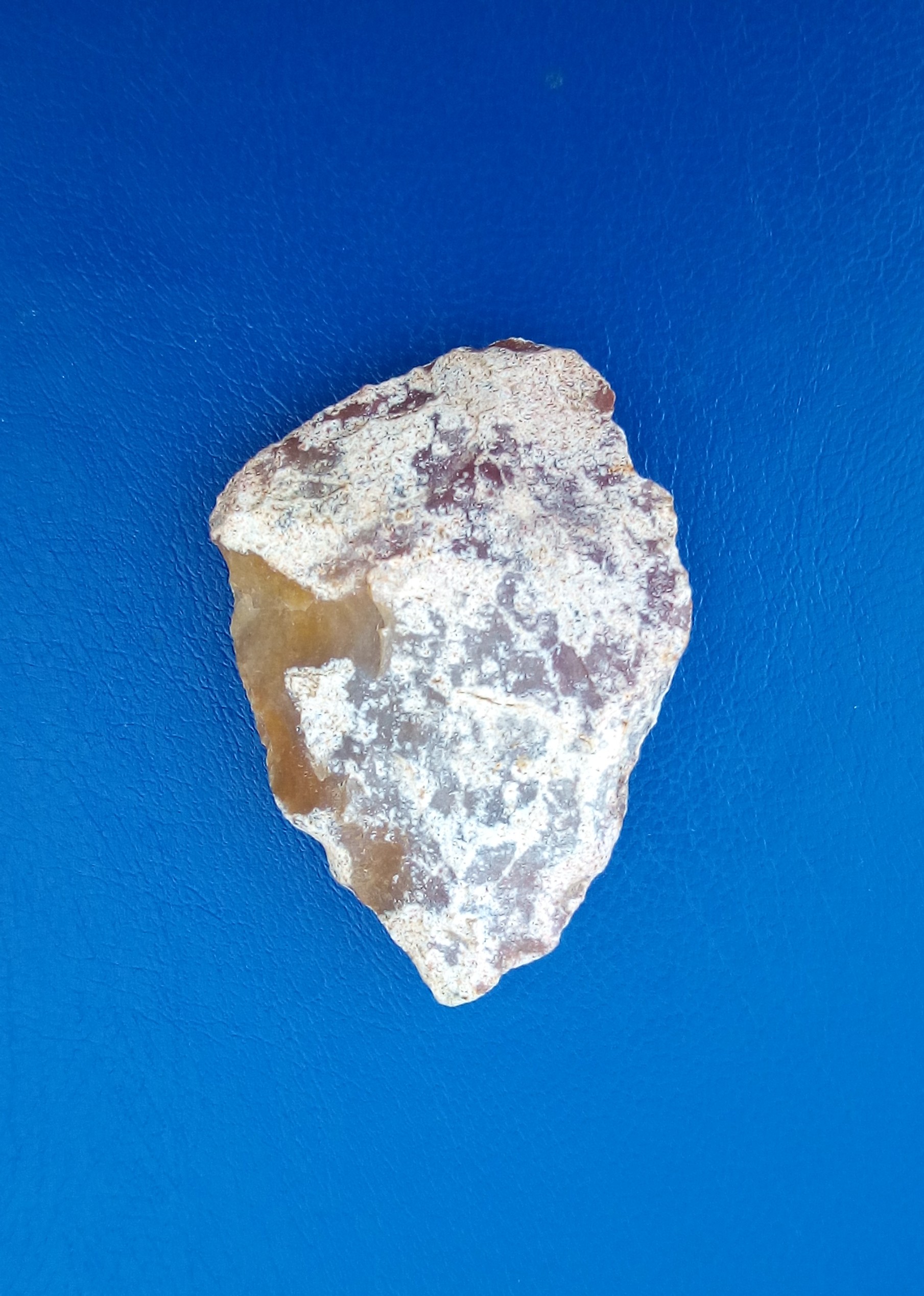 13b.JPG