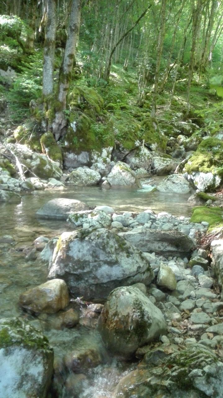 rps20210411_191947.jpg