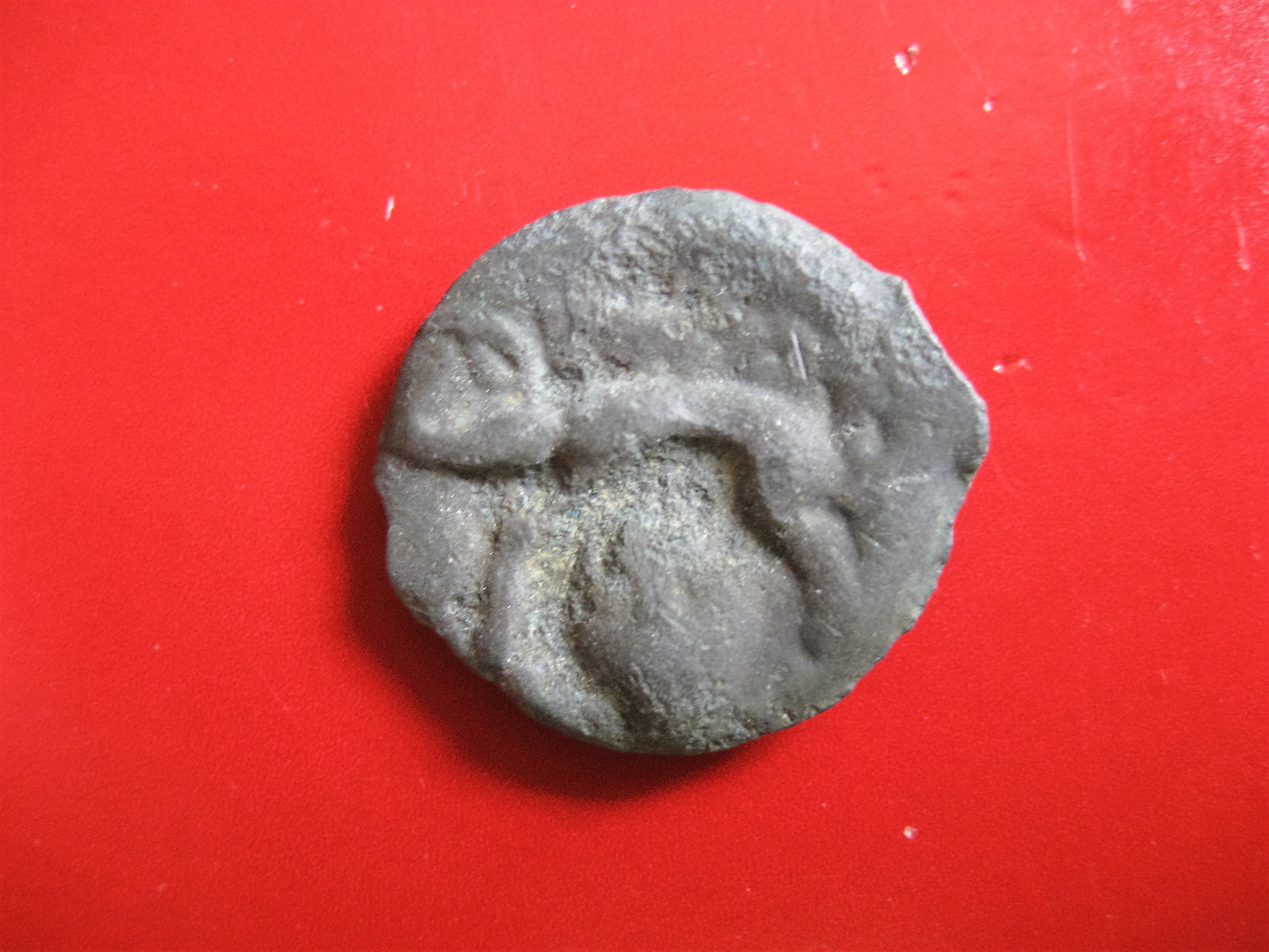 (1)gauloise(Remes) au bonnet.JPG