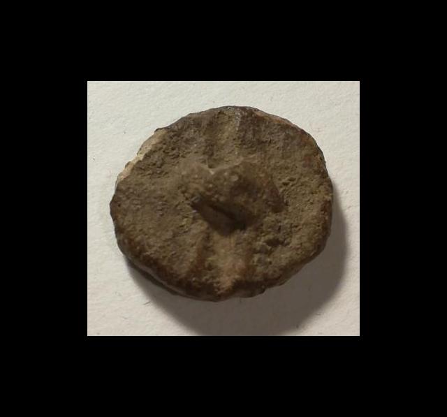 rps20210506_202500.jpg