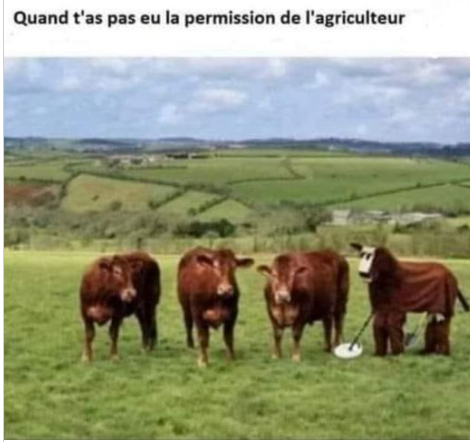 VACHE.PNG