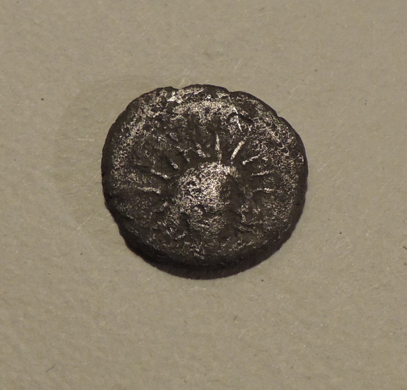DSCN3294.JPG