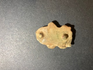 figure5.jpg