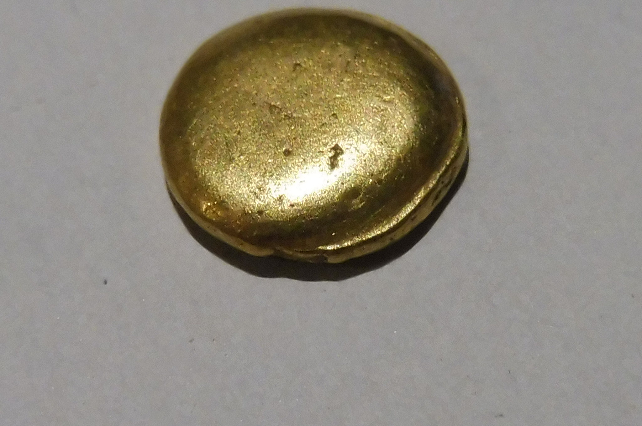 P1020137.JPG
