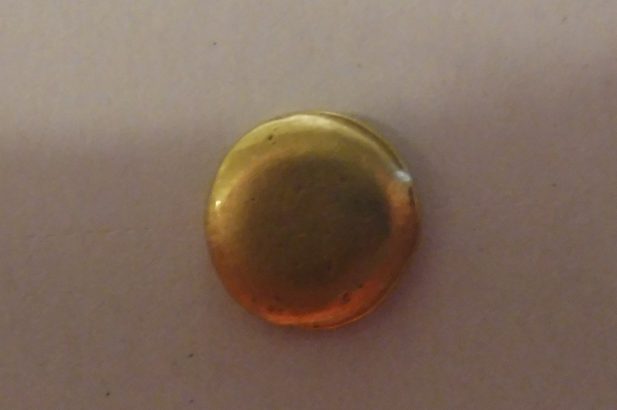 P1020136.JPG