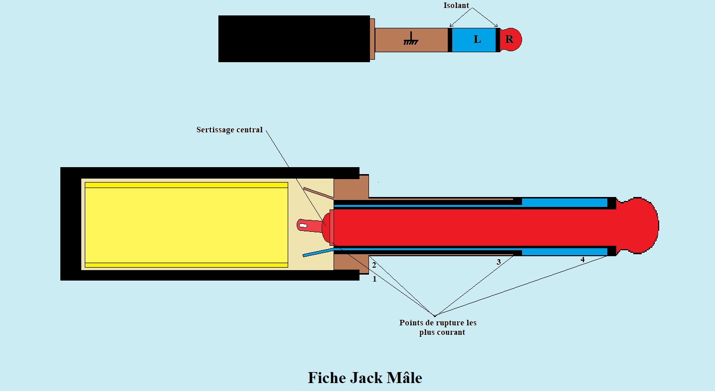 Fiche Jack Mâle.jpg