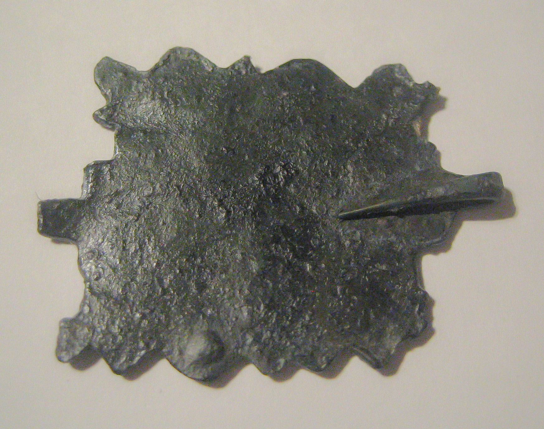 fibule 3.JPG
