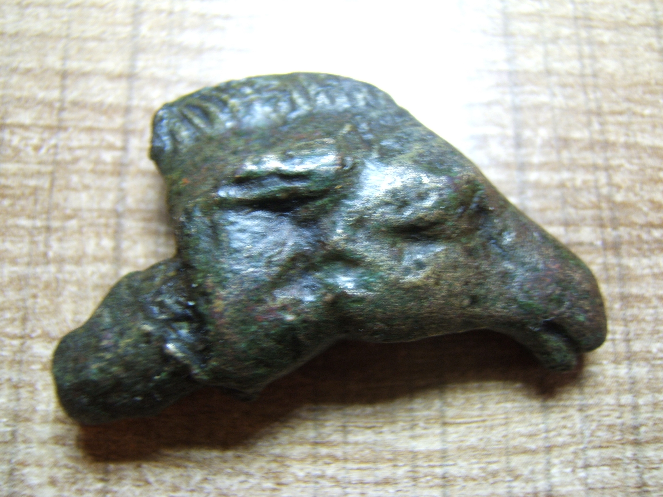 DSCF2893.JPG