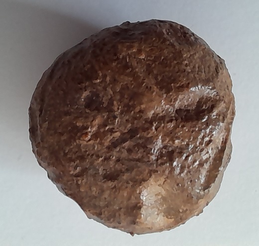 Petit boulet de plomb.jpg