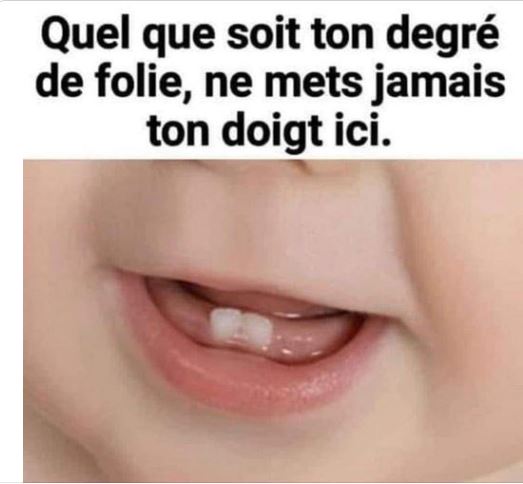 BB.JPG