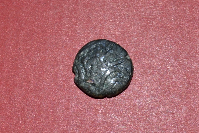 _csc0313.jpg
