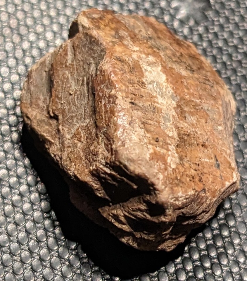 PXL_20240131_172557796~2.jpg