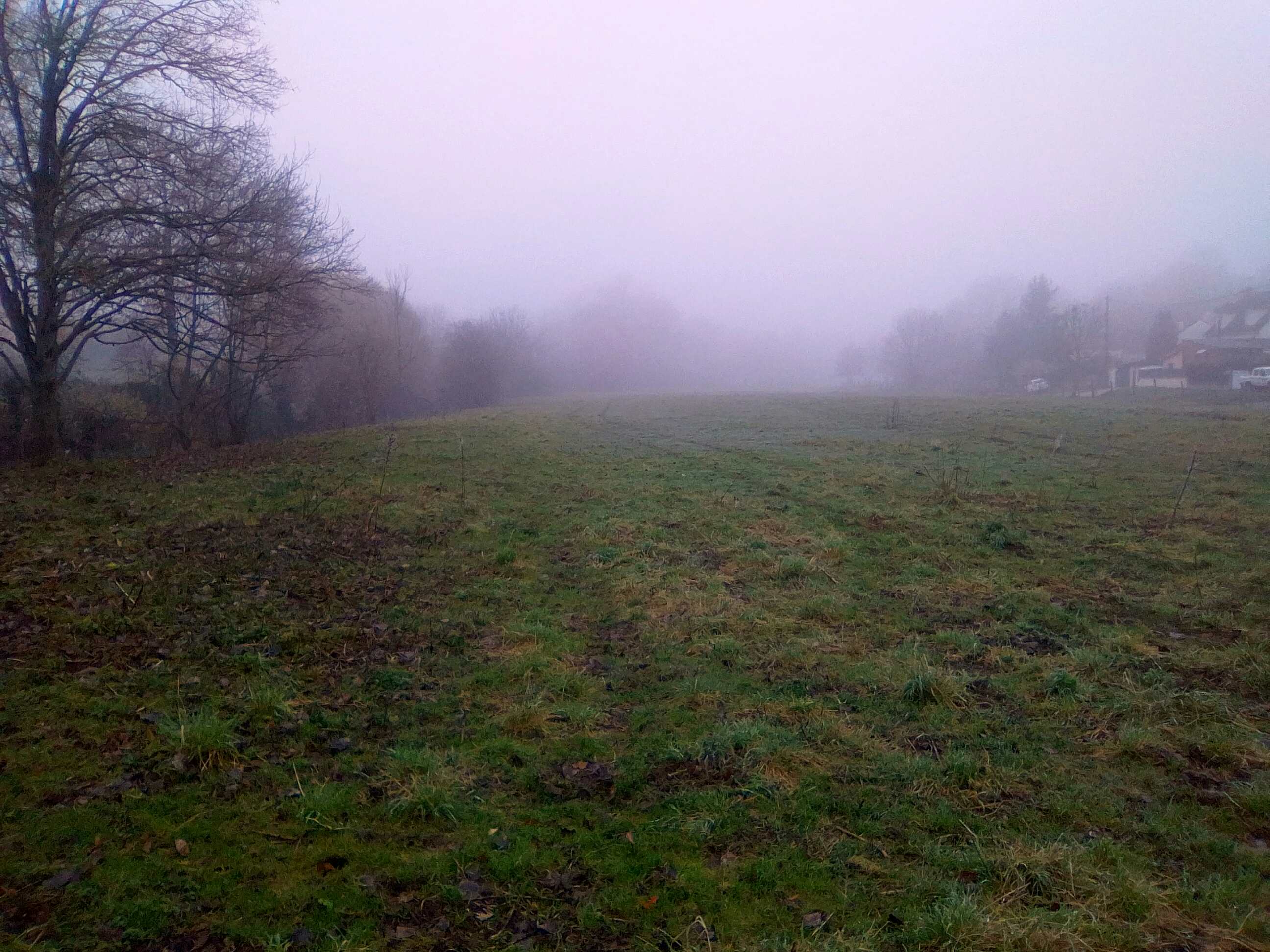 PHOTO 0.jpg