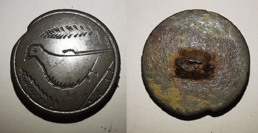13 Bouton.jpg