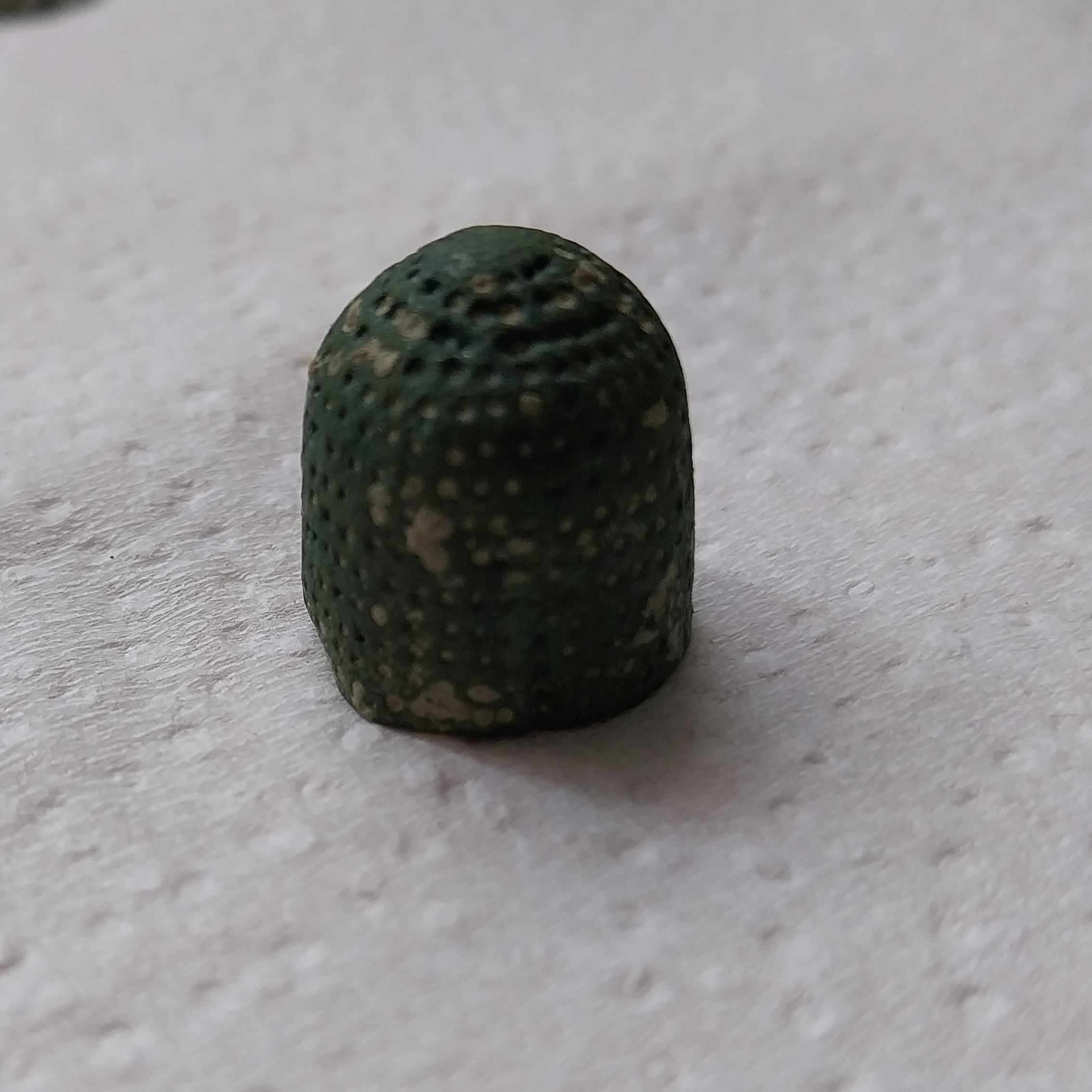 20250118_112331.jpg