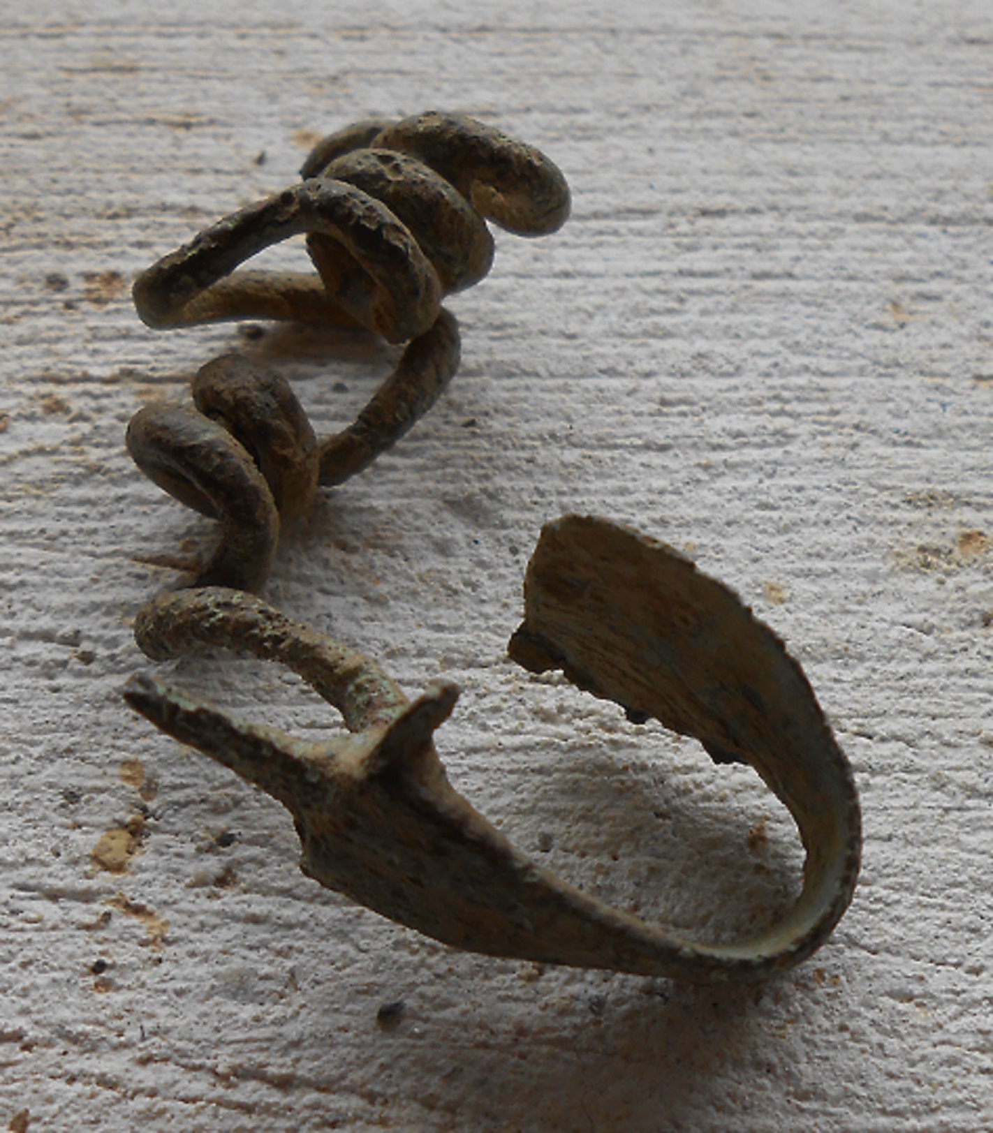 DSCN5322.JPG