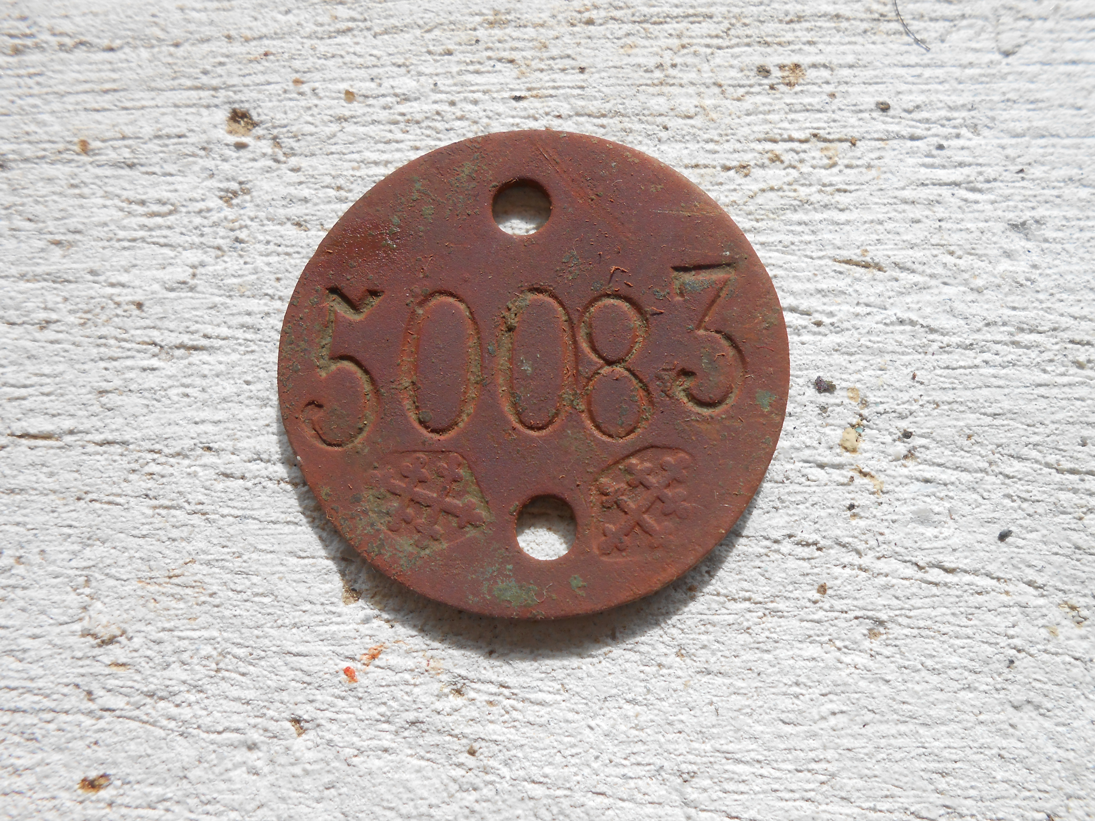 DSCN5314.JPG