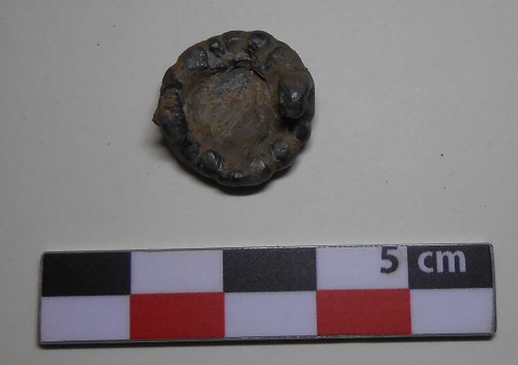 DSCN5589.JPG