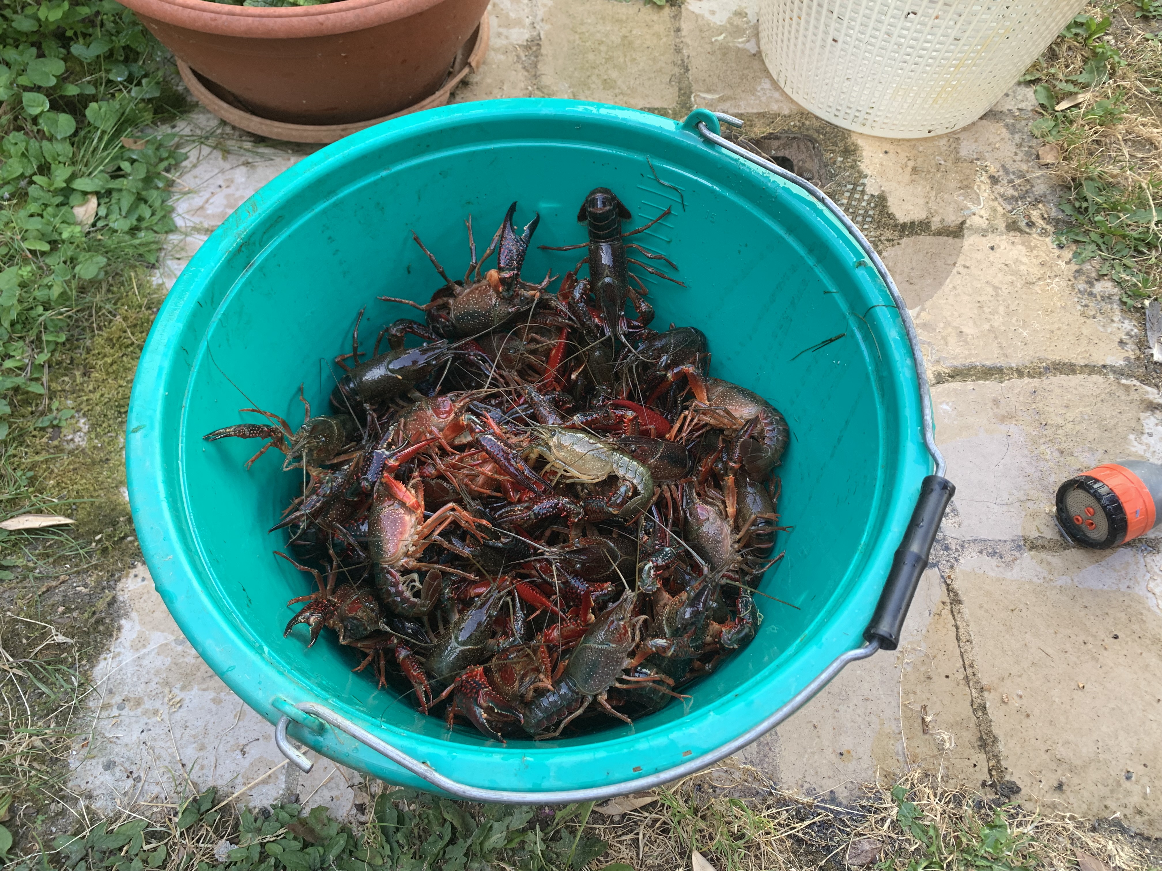 IMG_4476.jpeg