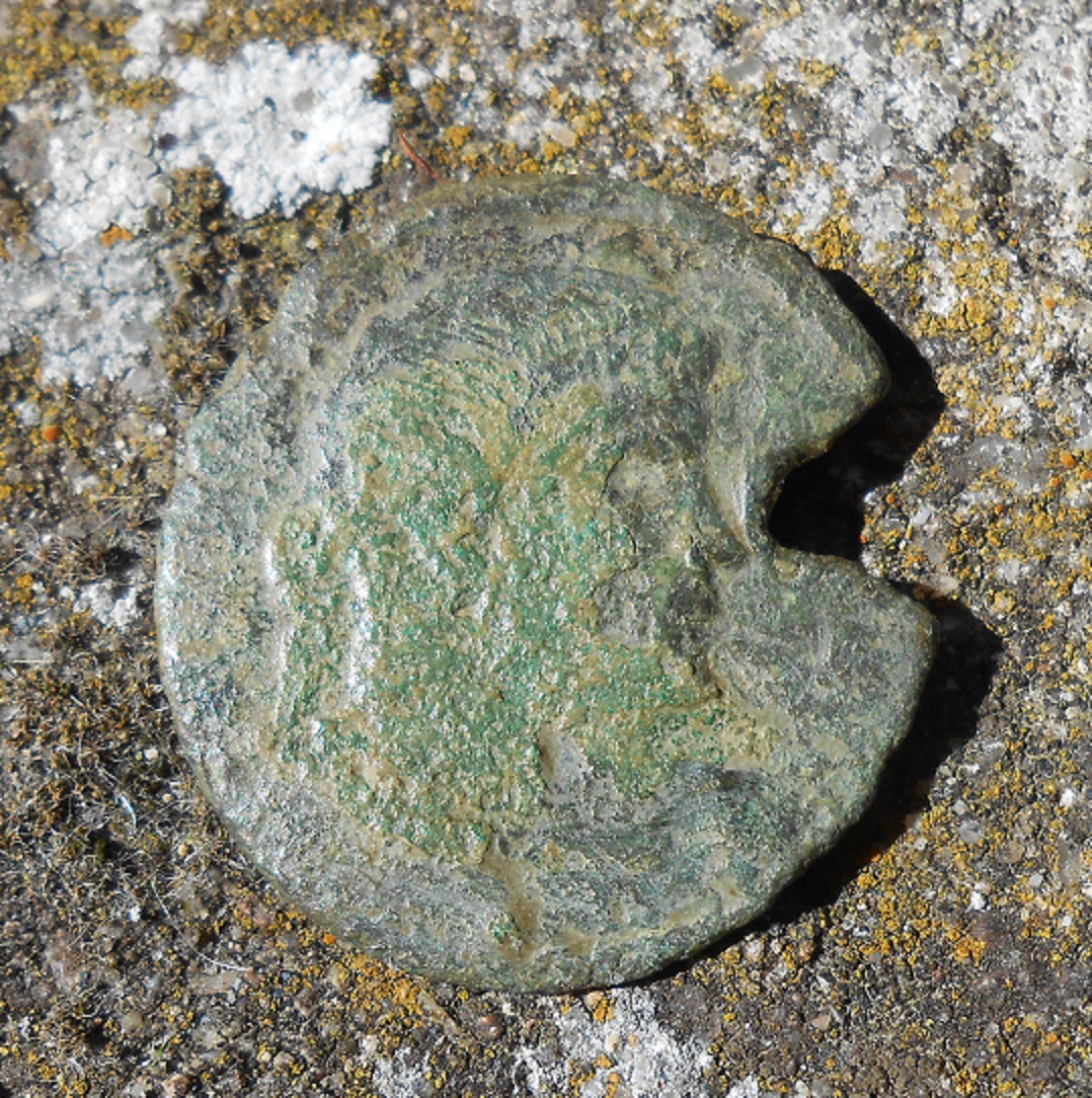 DSCN5868.JPG
