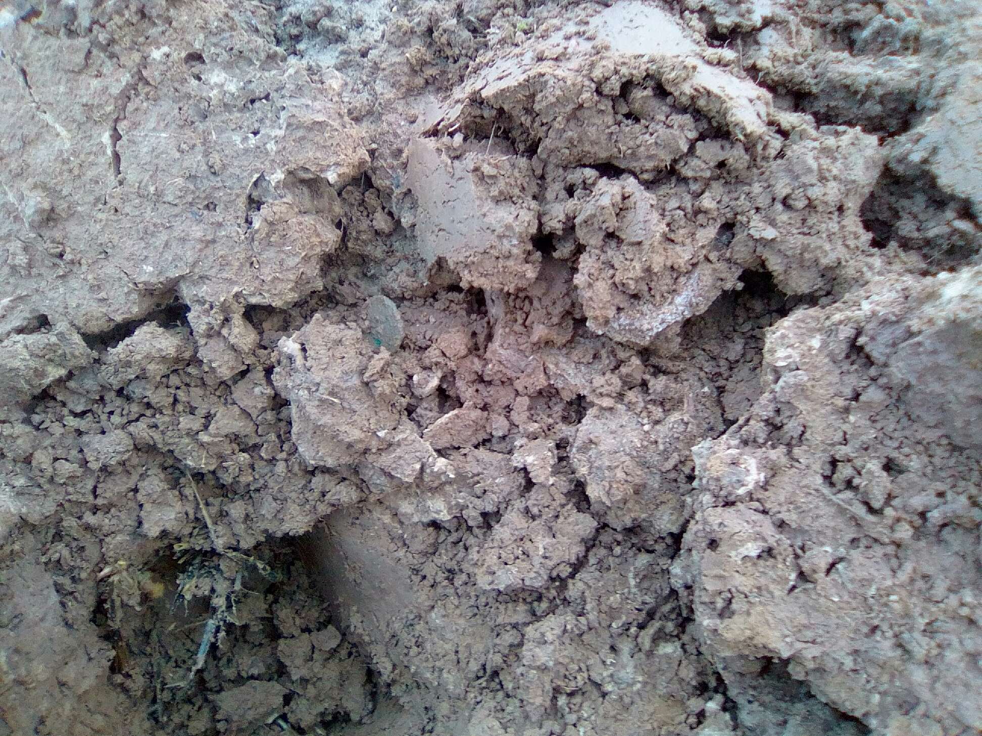 PHOTO2.jpg
