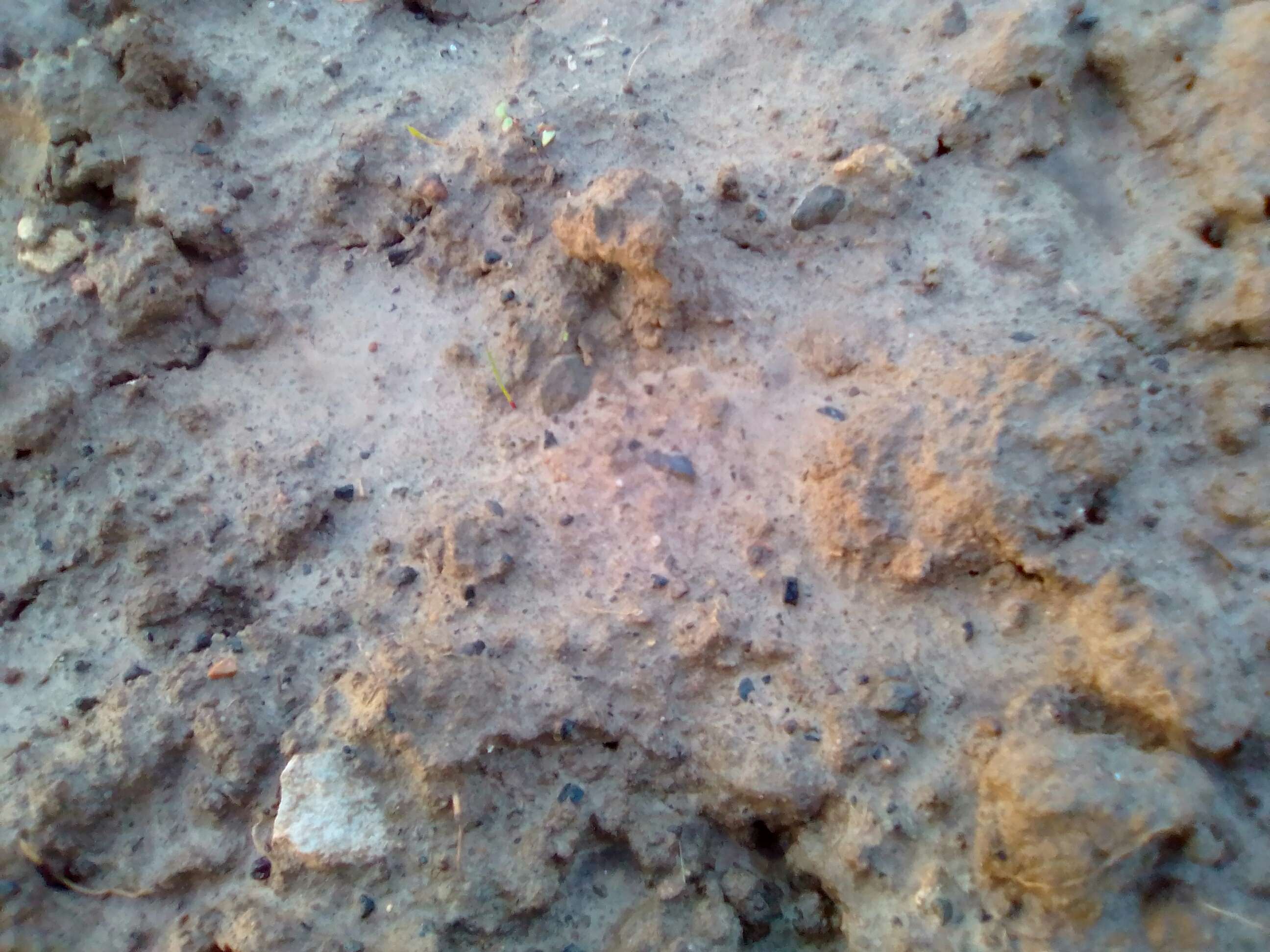 PHOTO4.jpg