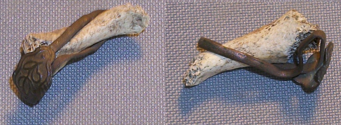 100_3509.JPG