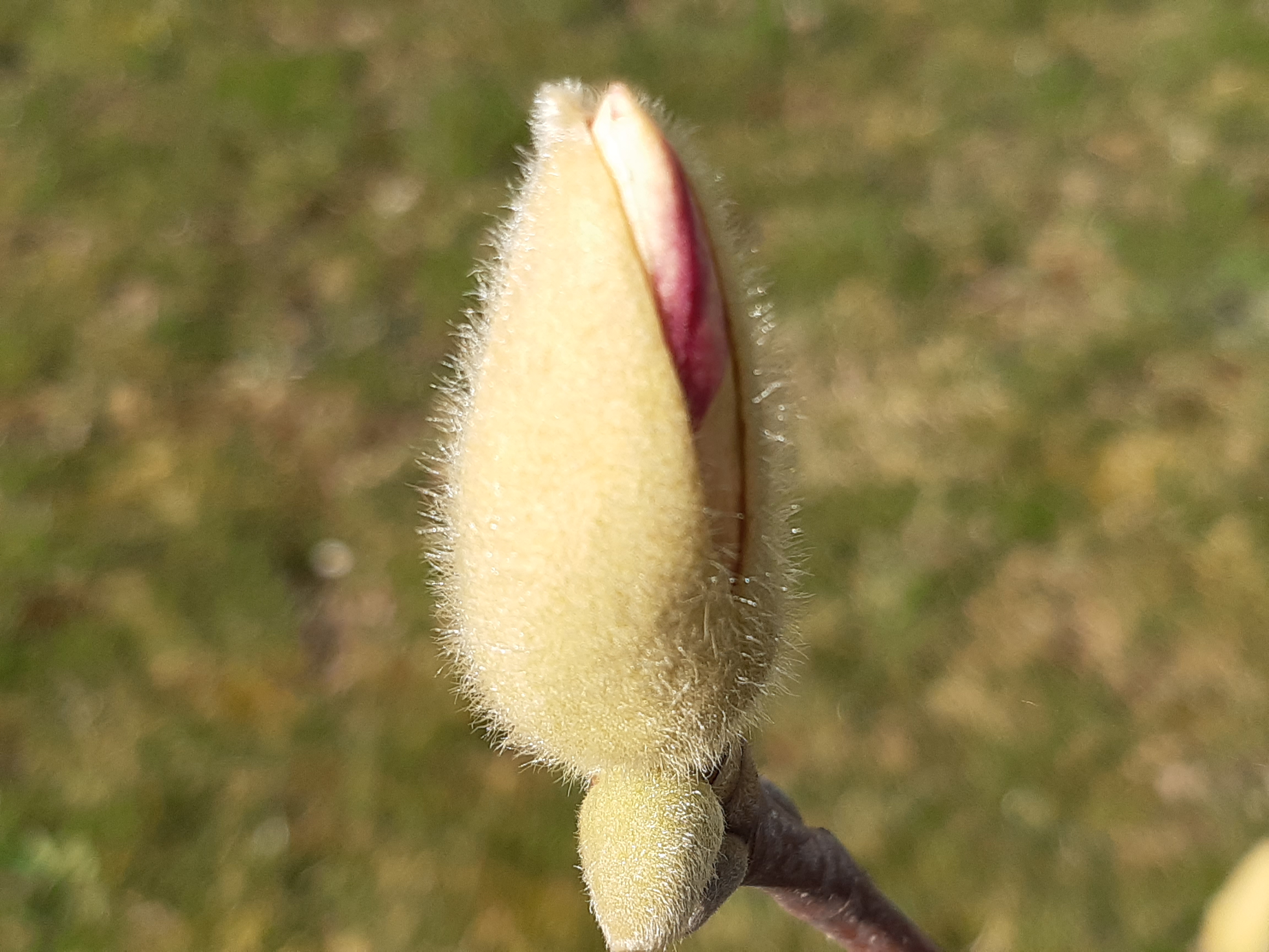 20200222_132001.jpg
