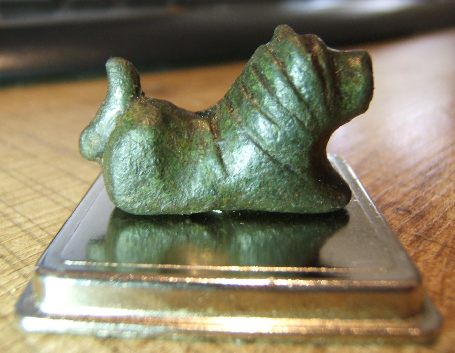 DSCF2795.JPG