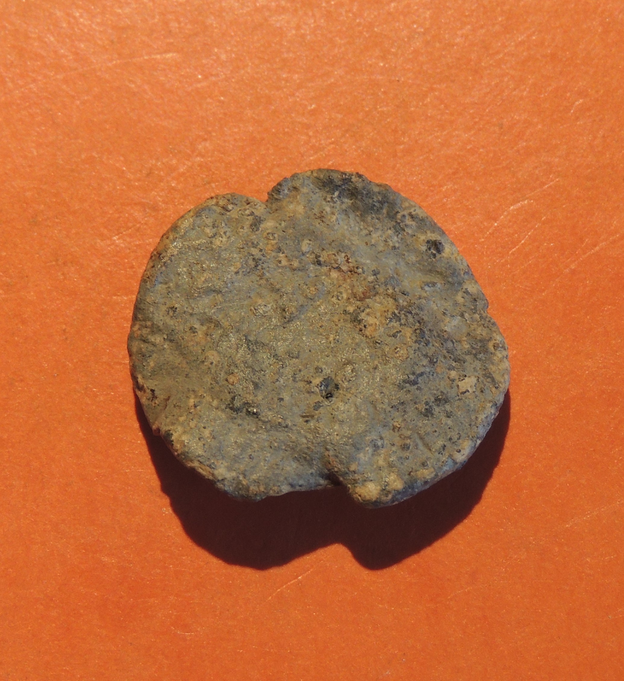 DSCN3084.JPG