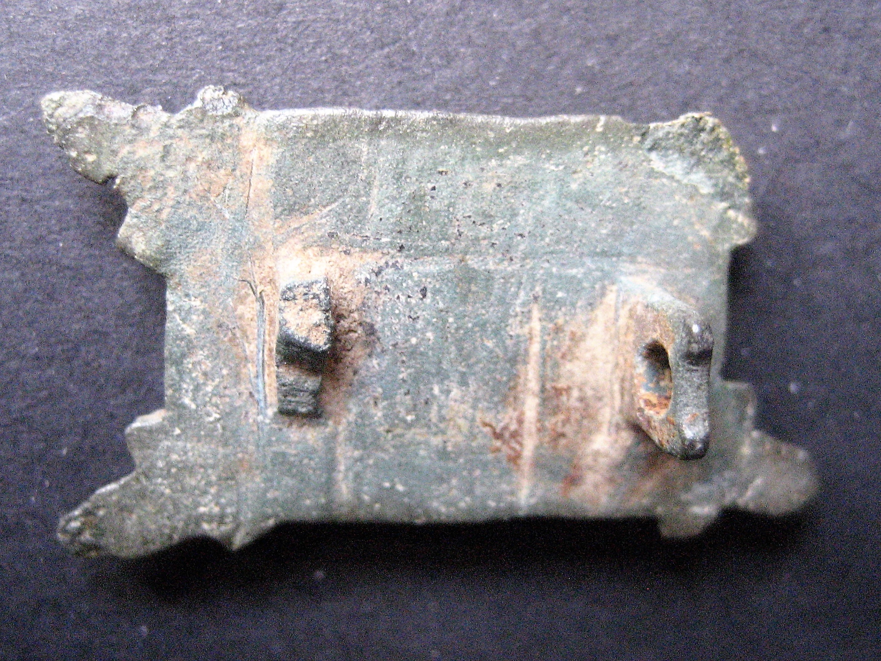 (1)fibule caro 1.JPG