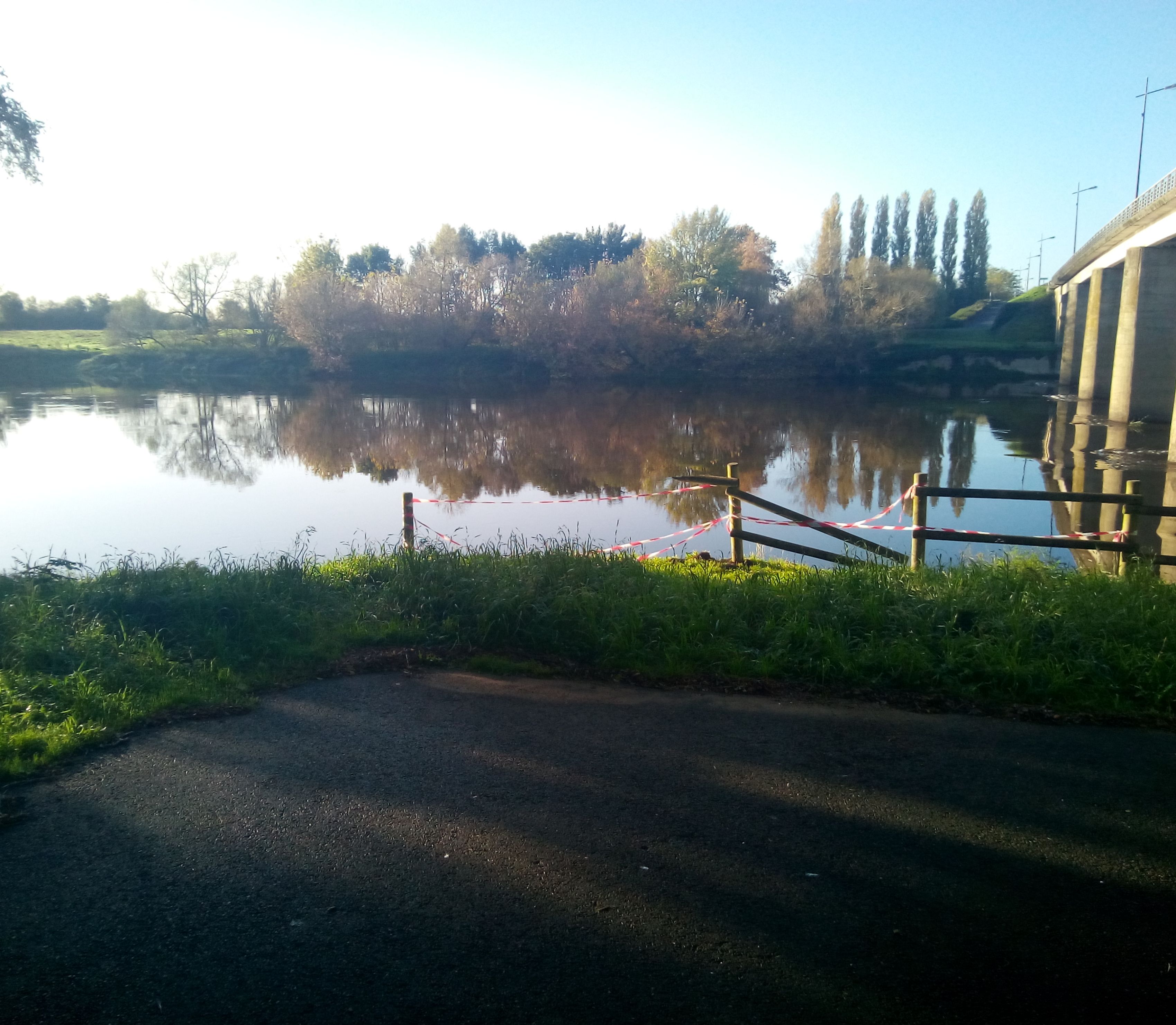 IMG_20201026_085951~2.jpg