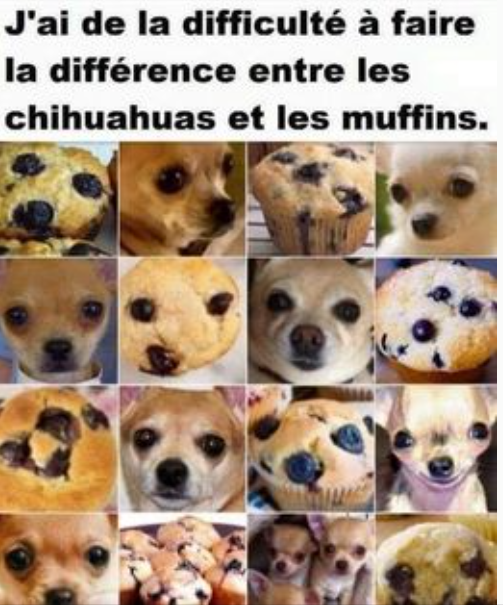 MUFFIN.PNG