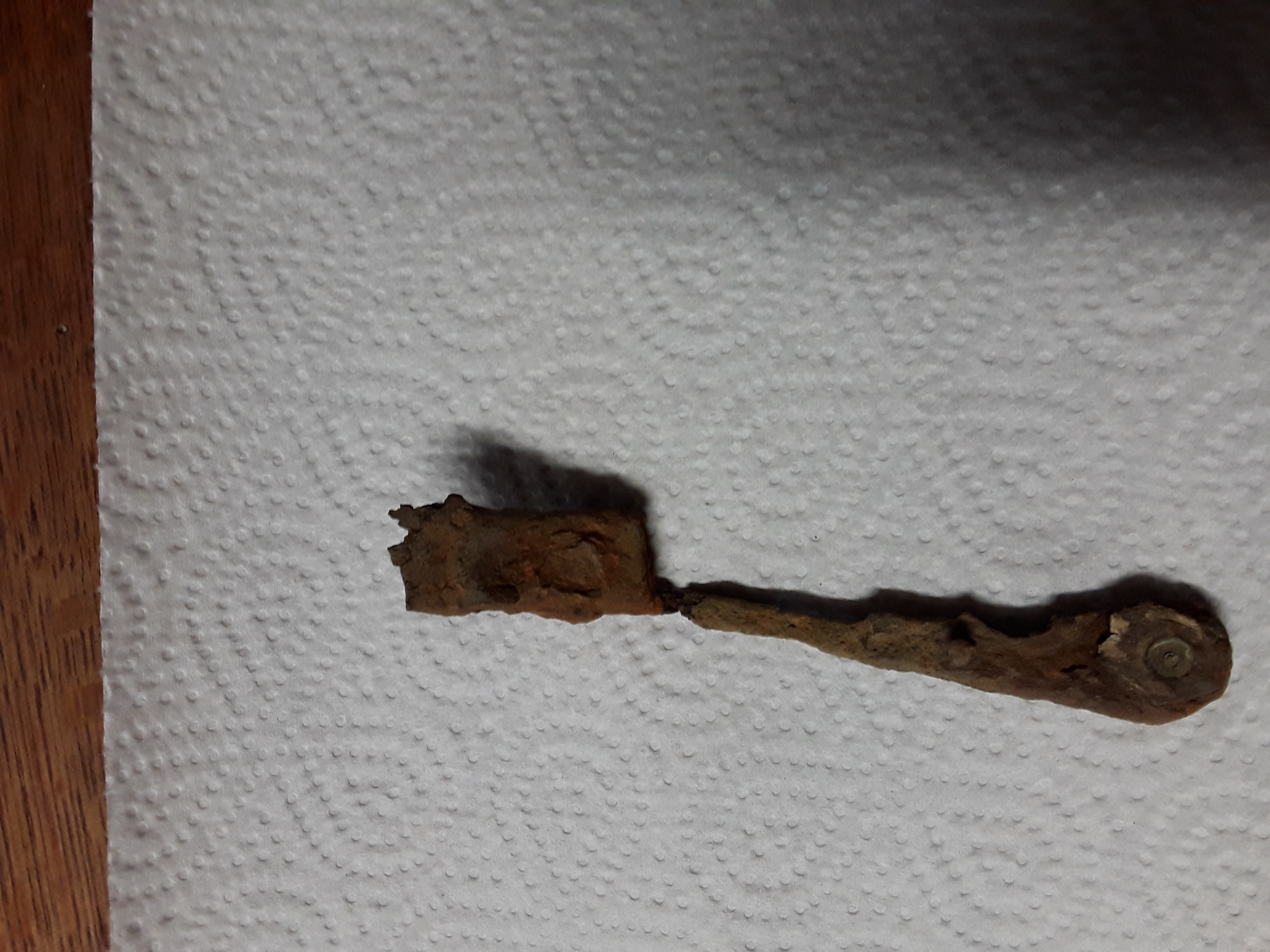 20201226_163516.jpg