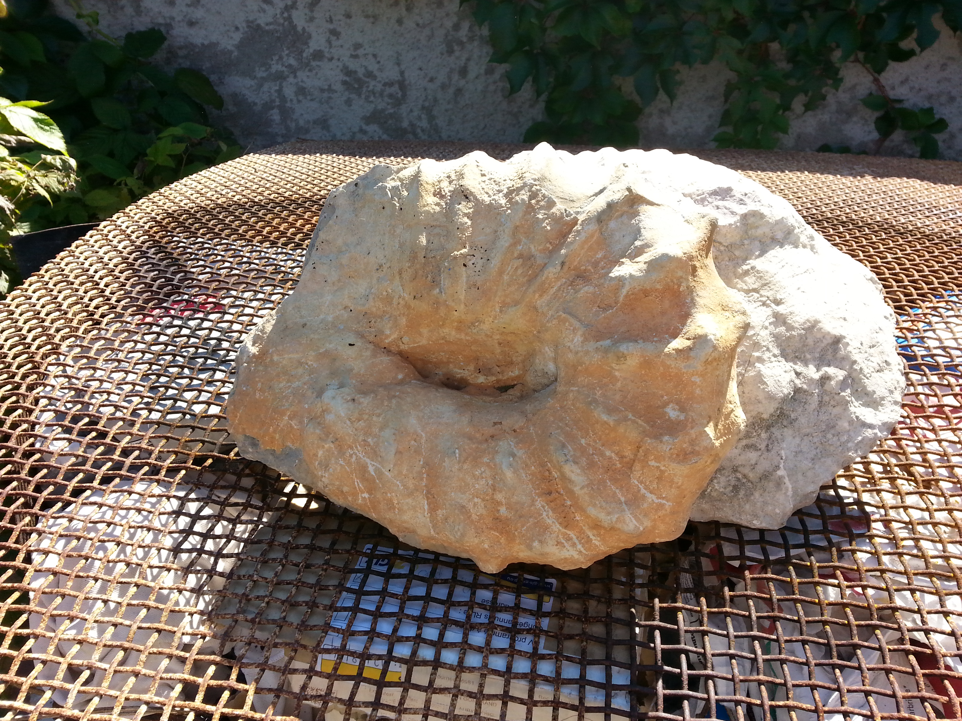 20140913_152923.jpg